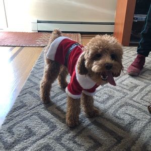 Meet your Posher, Nicoletta